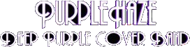 Purple Haze | Deep Purple Cover Band